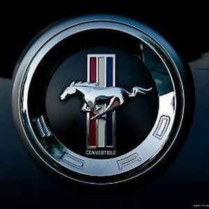 Meet your Posher, Collin